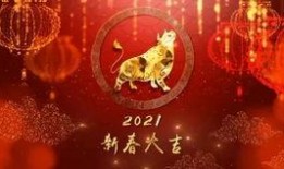 大仙粉丝爆料视频大全最新,揭秘幕后精彩瞬间