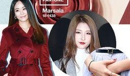 玛萨拉最新爆料,揭秘娱乐圈惊人内幕