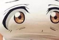 娱乐爆料动画视频大全最新,最新娱乐爆料视频大盘点