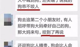 周口市最新爆料消息今天,最新爆料揭示惊人真相，市民热议！”