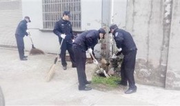 新狮街道爆料事件最新,揭秘背后真相与影响