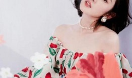 娱乐爆料明星最新动态,娱乐圈最新爆料，揭秘明星私生活！