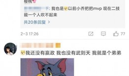 大仙粉丝爆料视频大全最新,揭秘幕后精彩瞬间