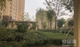 临汾金域王府爆料案件最新,揭开神秘面纱，探寻真相背后”