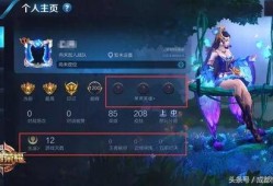 王者257最新爆料,揭秘新英雄与神秘活动