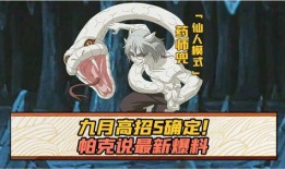 最新高招s忍爆料,最新爆料揭示忍者世界神秘力量