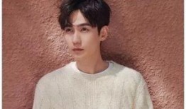 娱乐圈八卦最新爆料tf,娱乐圈八卦揭秘，神秘事件引热议