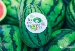 新瓜最新爆料网红是谁啊,网红界新晋风云人物是谁？