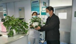 衡水医院爆料事件最新,真相揭开，医疗乱象引发社会关注