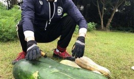 体育生新瓜最新爆料,揭秘背后惊人真相