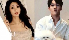 陈牧驰最新爆料消息,揭秘娱乐圈惊人内幕