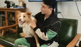 林生斌的最新爆料,揭开真相背后的惊人秘密