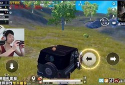 鲨鱼最新直播爆料视频,最新爆料视频内容大起底