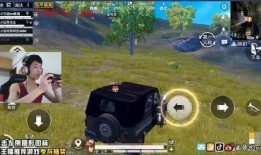 鲨鱼最新直播爆料视频,最新爆料视频内容大起底